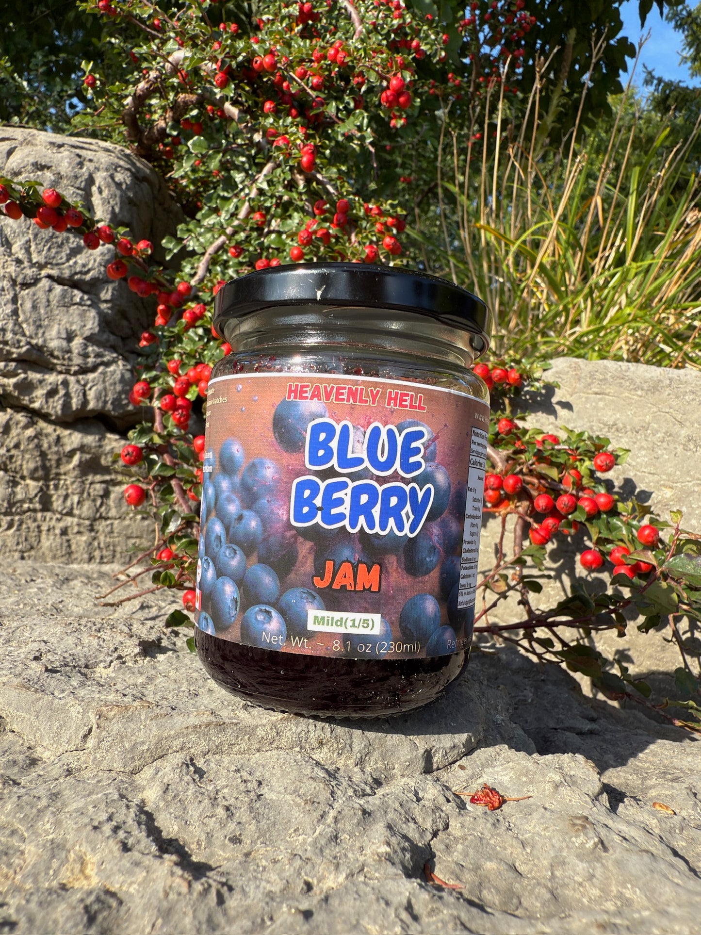 Blueberry Jam