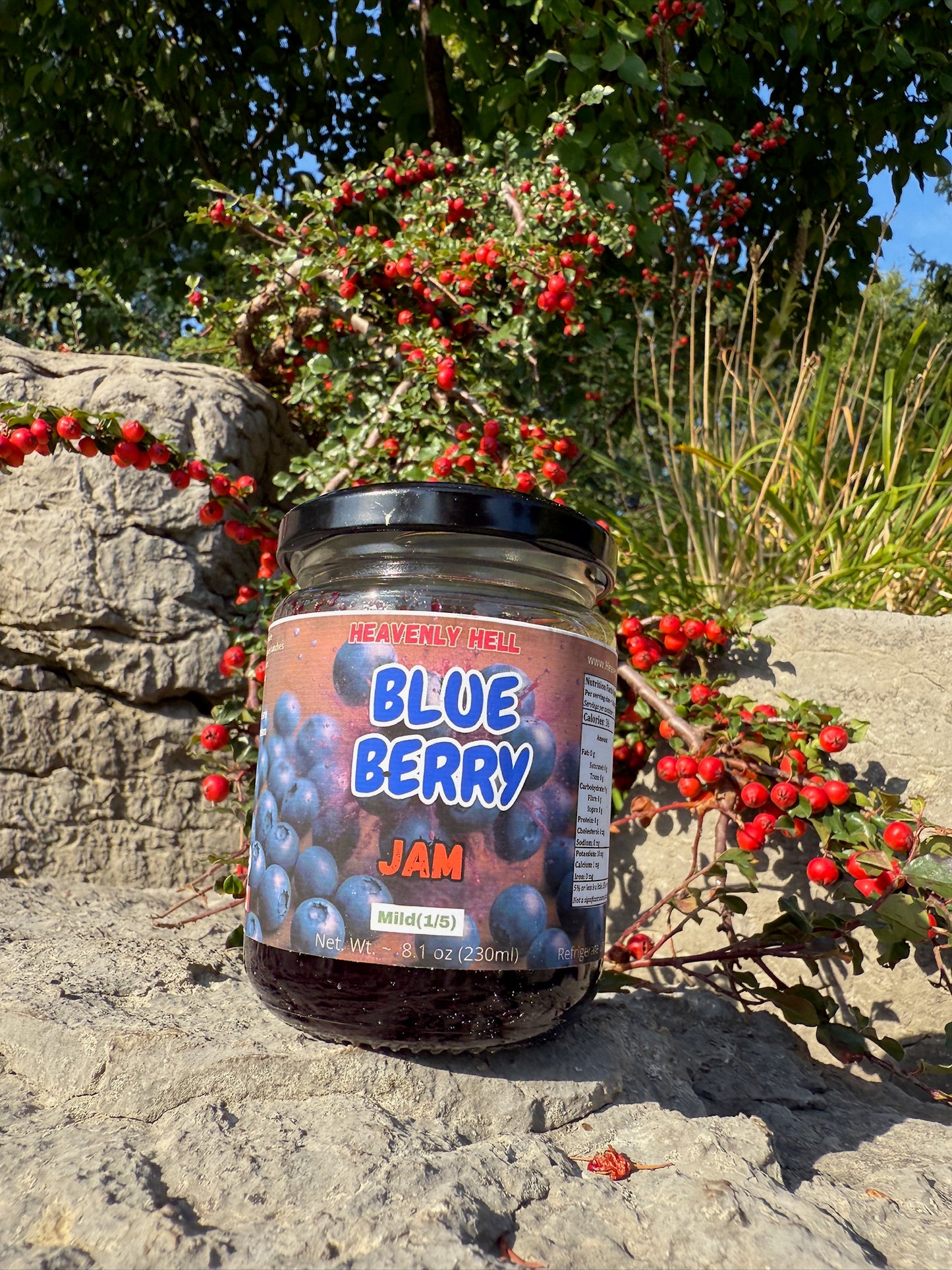 Blueberry Jam